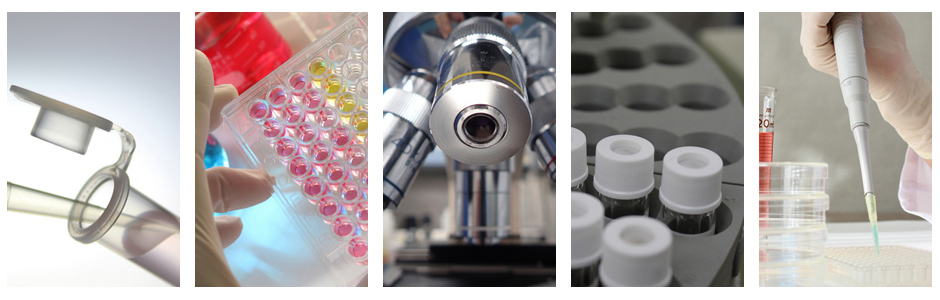 Microbiological Analysis