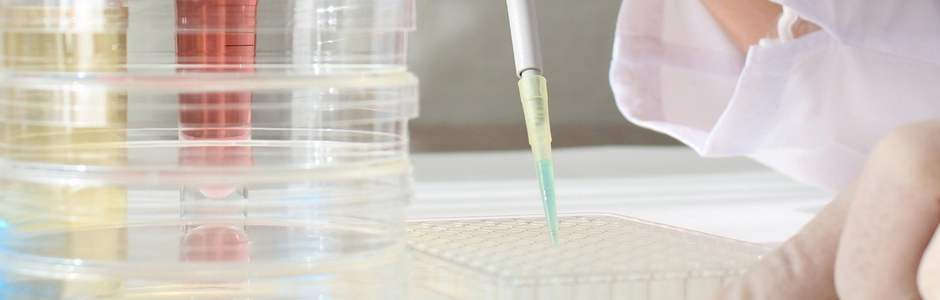 Güvenlik Değerlendirme Dosyası ve ÜBD Hizmetleri